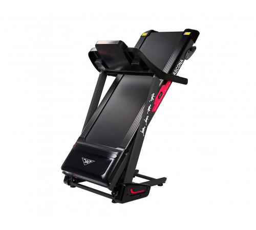 Беговая дорожка DFC ASCONA T595