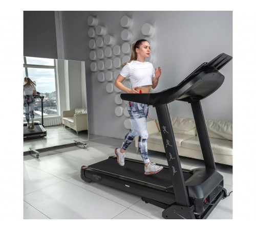 Беговая дорожка DFC SANTANA Pro T757