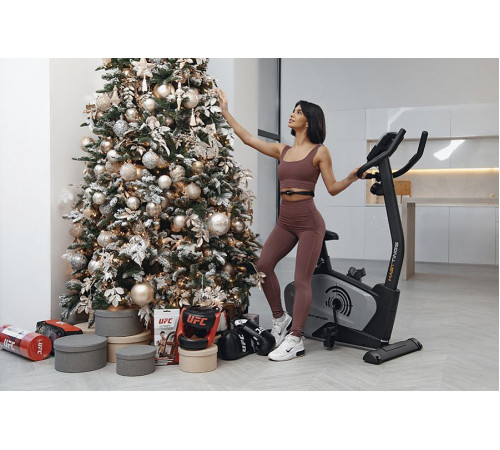 Велотренажер Hasttings SB300 SPIDER