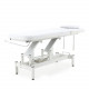 Массажный стол Электрический DEL 1707